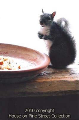 More bread please.jpg