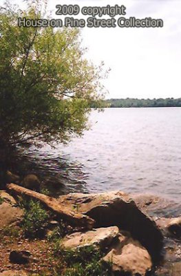 Afternoon at the Lake.jpg