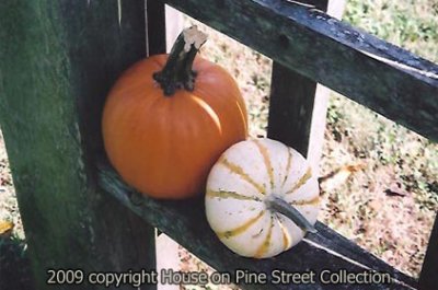 Treasures of Autumn.jpg