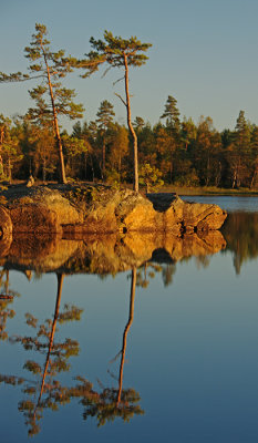 Evening Sun