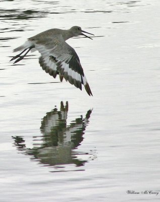 g1/52/959052/3/126110680.3qRtXJdd.jpg