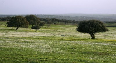 g1/52/959152/3/126883607.gcyCUC9p.jpg