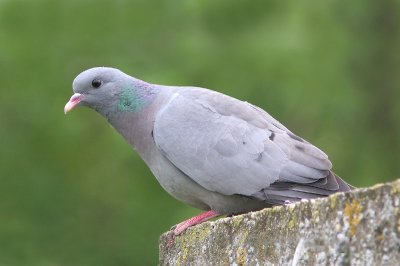 g1/52/959152/3/127837065.HKbt4LqA.jpg