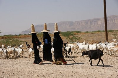 117.jpg