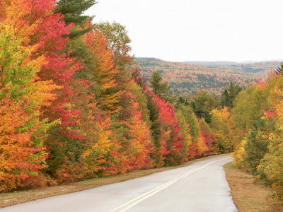 AP1060792.jpg
