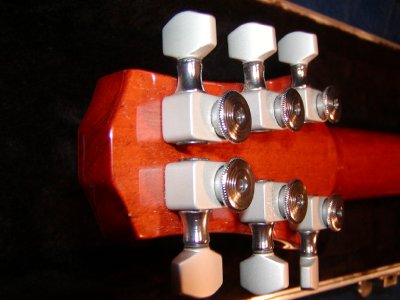Carvin_CT6M_headb1.JPG