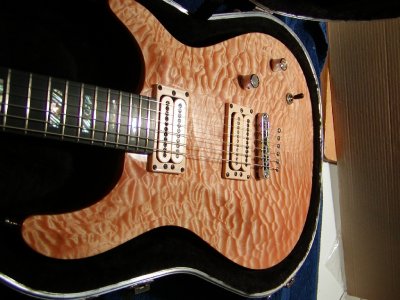 Carvin_CT6M_top4.JPG