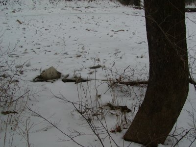 P3040048.JPG