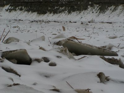 P3040067.JPG