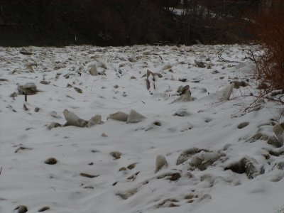 P3040070.JPG