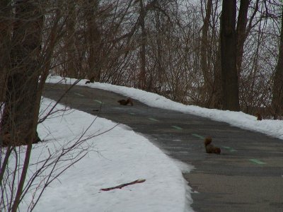 P3040081.JPG