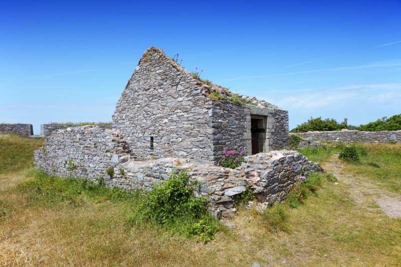 Old Fort, Berry Head
