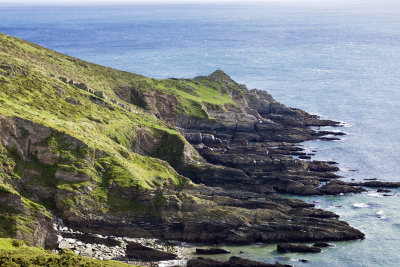 Rugged Coast