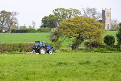 Cutting the Grass