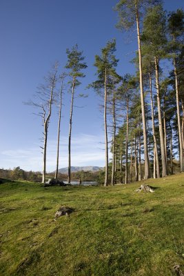 Tarn Hows
