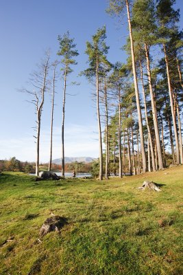 Tarn Hows