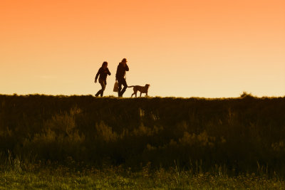 A Walk at Sunset