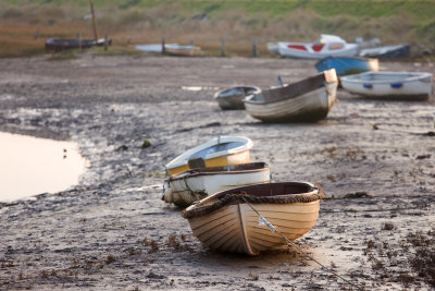 At Low Tide