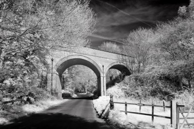 The Rail Bridge