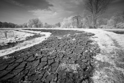 Banks of the Bure River