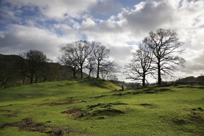 Cumbria