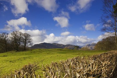 Distant Hills