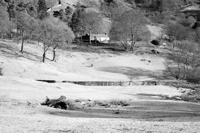 Cumbria Mono