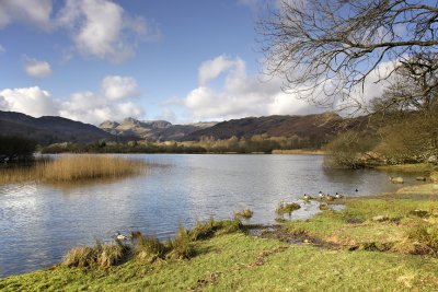 Cumbria