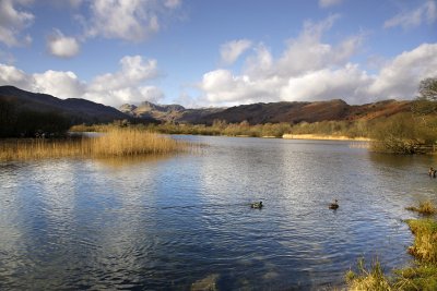 Cumbria