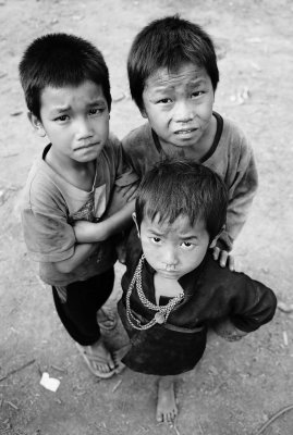 Three Hmong buys