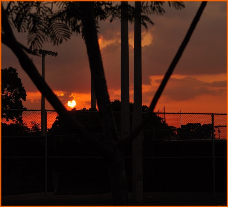 Park Sunset.jpg