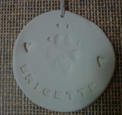 Brigette paw.jpg