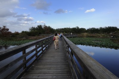 Wetlands11.jpg