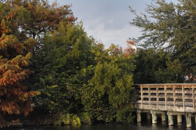 wetlands106.jpg