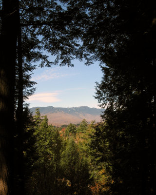 View from the chair