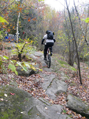 Millstone rocks, lots of this all over