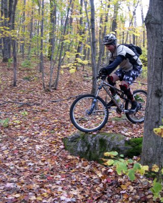 Mergs at Millstone