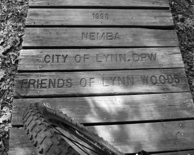 Boardwalk in Lynn woods. Love to ride here