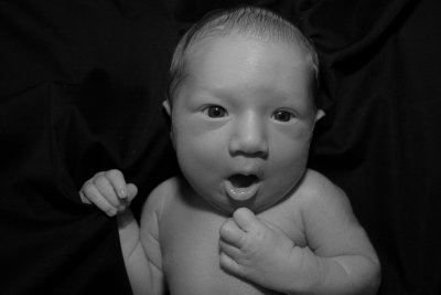 Too Cute