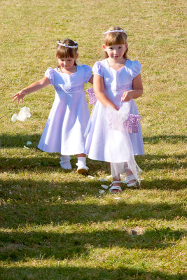 Pam and Jillian's Wedding