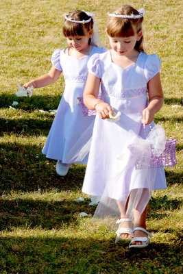 Pam and Jillian's Wedding