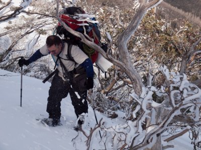 Bush Bashing or how to get ice down your neck