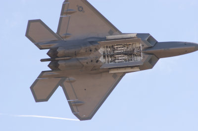 F-22 Raptor