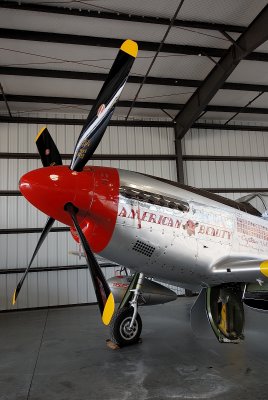 P-51D Mustang American Beauty