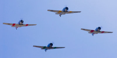 T-6 Texan Flight of Four