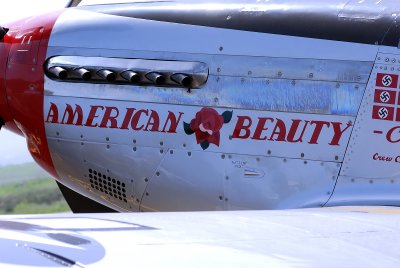 P-51D Mustang American Beauty