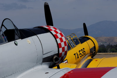 [21] 1953 Harvard MK IV  & 1941 T-6G Texan