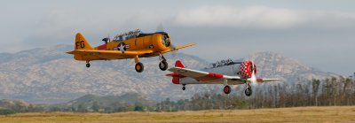 [39] 1953 Harvard MK IV  & 1951 AT-6G