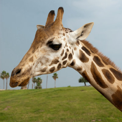 g1/53/350253/3/126629864.4HOyFHTq.jpg
