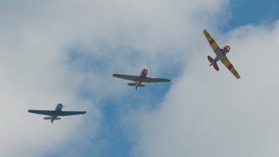 Flight of ThreeTexans